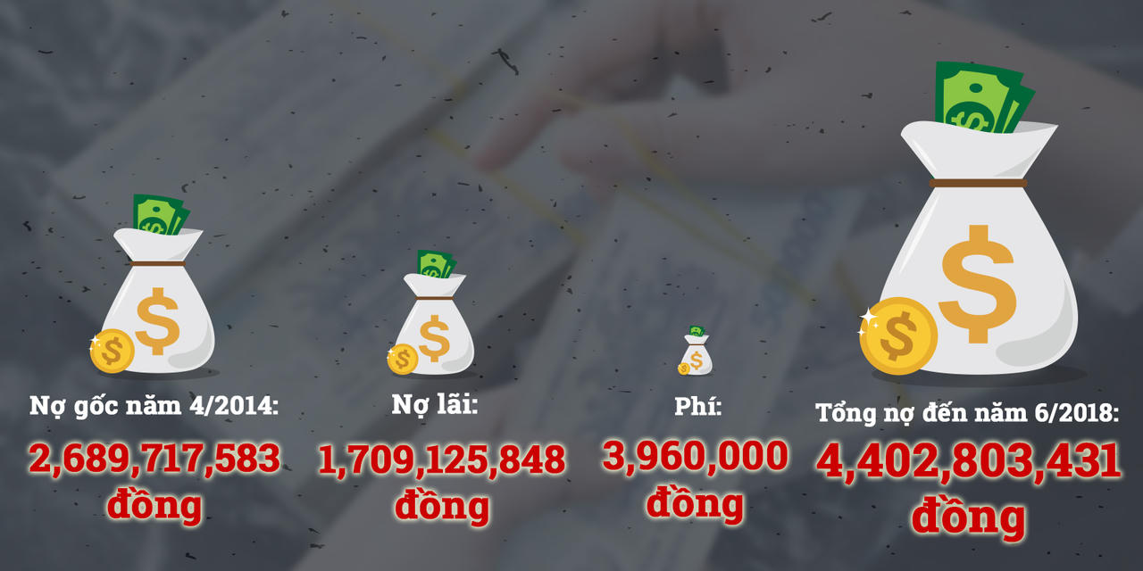 (Đồ họa: Hoàng Linh)