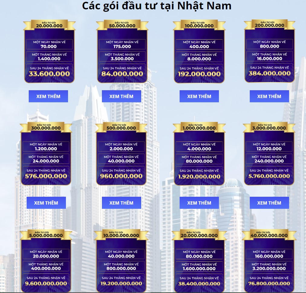 Bảng minh họa các gói đầu tư được Nhật Nam công khai trên trang chủ của mình. &nbsp; &nbsp;