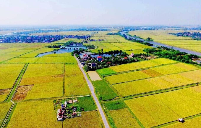 Hộ gia đình, cá nhân đang sử dụng đất nông nghiệp không phải là đất ở khi Nhà nước thu hồi đất, nếu đáp ứng đủ điều kiện được bồi thường được quy định sẽ nhận bồi thường với nhiều hình thức khác nhau. Ảnh: Internet &nbsp;