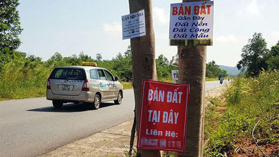 Miếng ruộng hoang bất ngờ tăng giá gấp đôi: Cuộc 'càn quét' chưa từng có