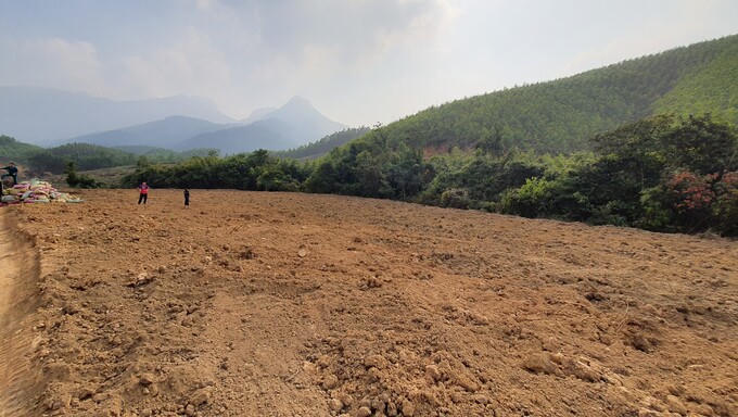 4 tỉnh, thành phố được phép chuyển đổi dưới 500 ha đất lúa, dưới 50 ha đất rừng