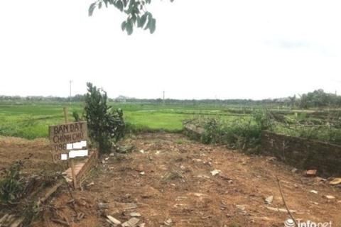 Theo chuy&ecirc;n gia, đầu tư đất nền phải c&oacute; tầm nh&igrave;n d&agrave;i hạn chứ kh&ocirc;ng thể đầu tư ngắn hạn hay lướt s&oacute;ng. &nbsp;