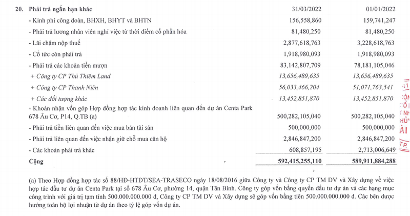 Nguồn: BCTC quý 1/2022 của SSN. &nbsp;