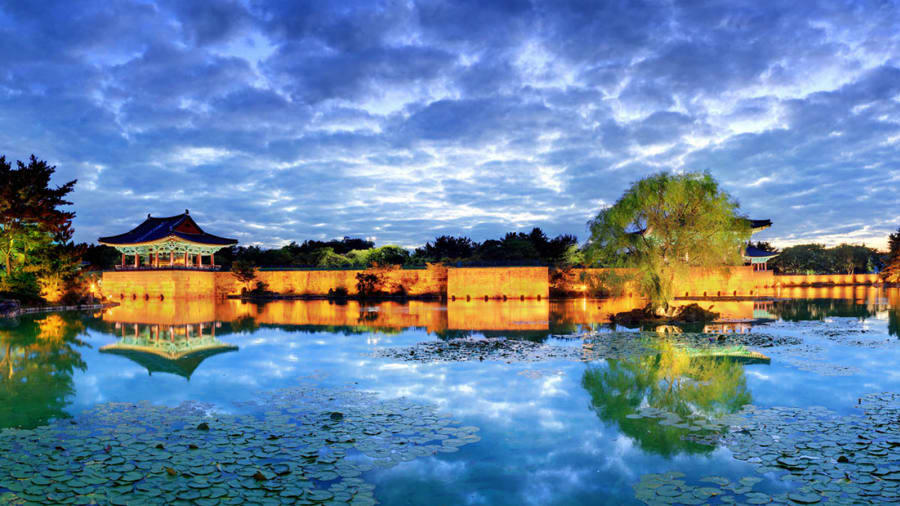 đảo Jeju thơ mộng -tinnhanhnhadat.vn