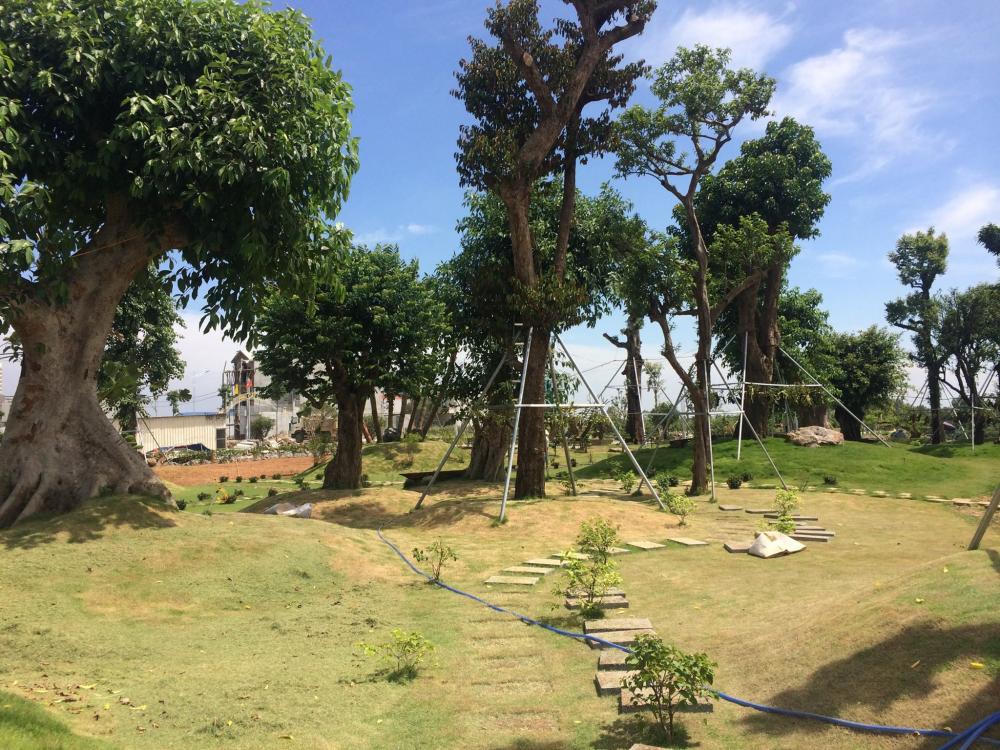 Tranh chấp vốn góp tại Dự án Khu biệt thự ven suối Con Gái