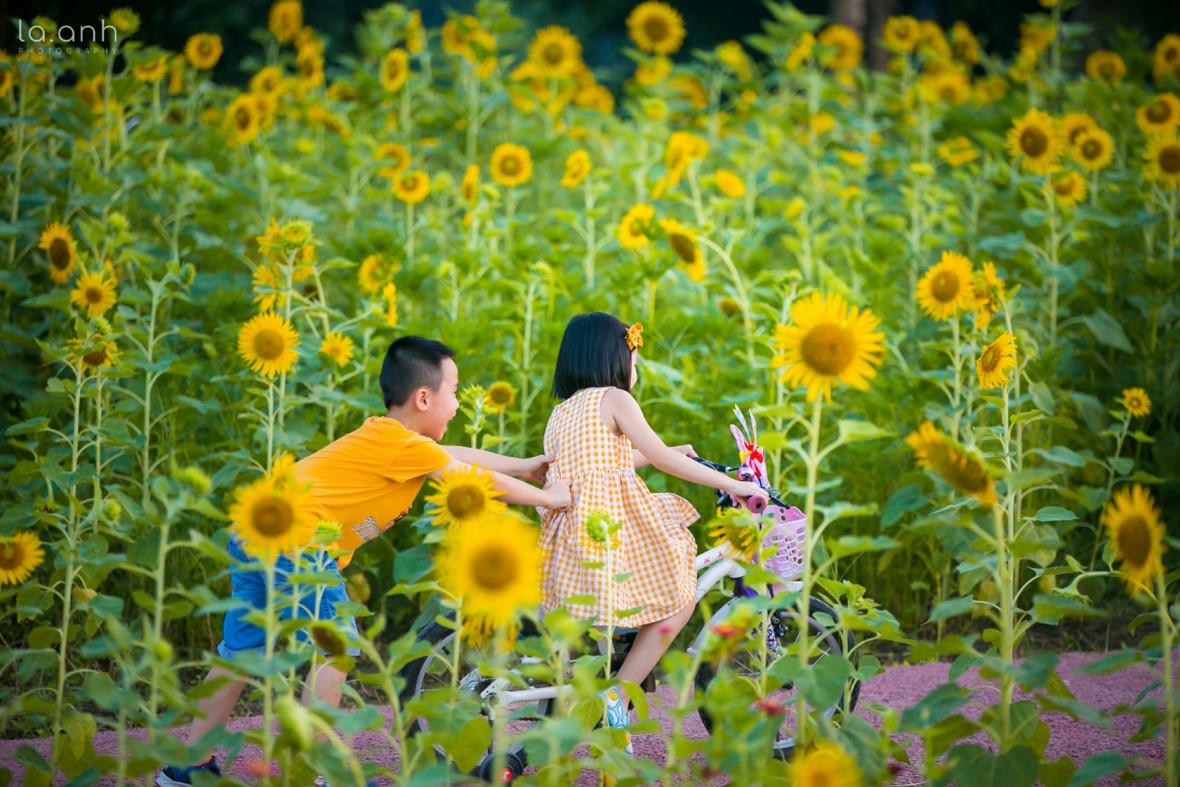 Những mảng rừng xanh vun đắp tâm hồn tại KĐT Ecopark