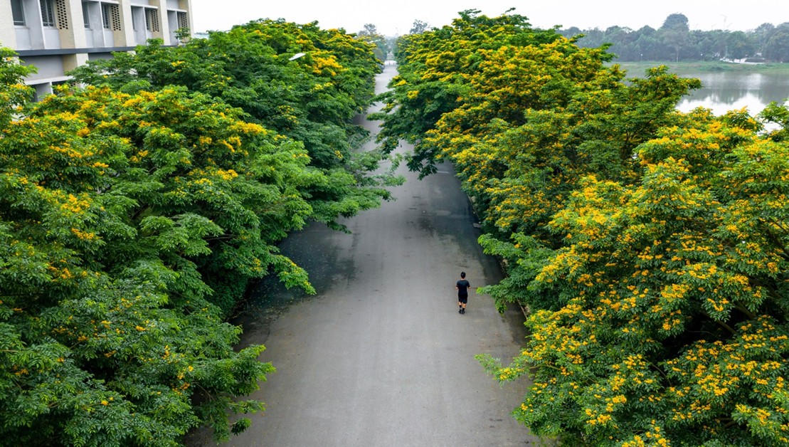 “Bí mật” của những người được thiên nhiên “chữa lành” ở Ecopark