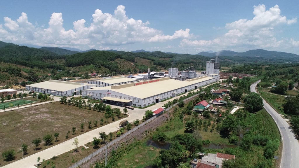 Một nhà máy gỗ ép của Thanh Thành Đạt tại huyện Vũ Quang, Hà Tĩnh.