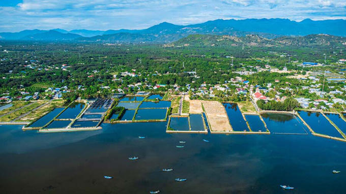 Ngoài ra, khu vực trung tâm còn được thiết kế với công viên lớn và tháp Trí Tuệ cao tối đa 45 tầng. Ảnh: Internet &nbsp;