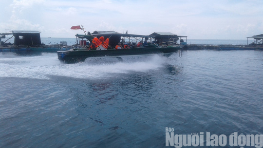 Ra Phú Quốc, ngất ngây lặn biển đâm cá, ngắm san hô ở Hòn Gầm Ghì - Ảnh 6.