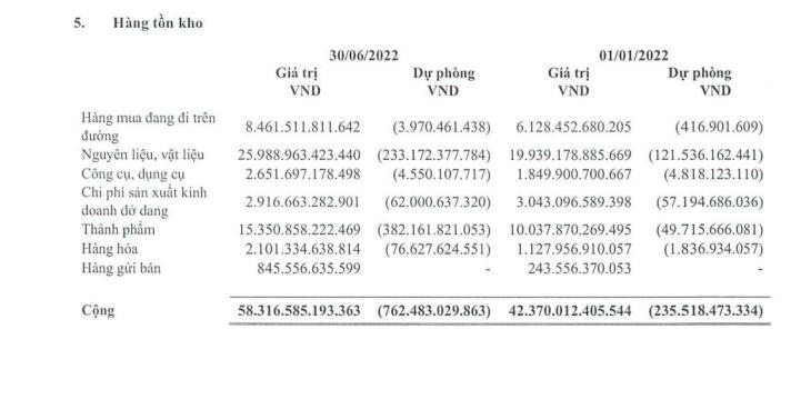 Nguồn: BCTC hợp nhất quý 2/2022.