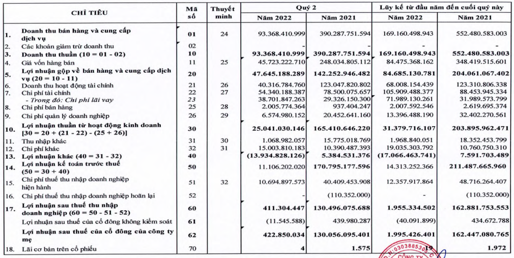 Báo cáo kết quả kinh doanh quý II/2022 của NBB (Nguồn: NBB)