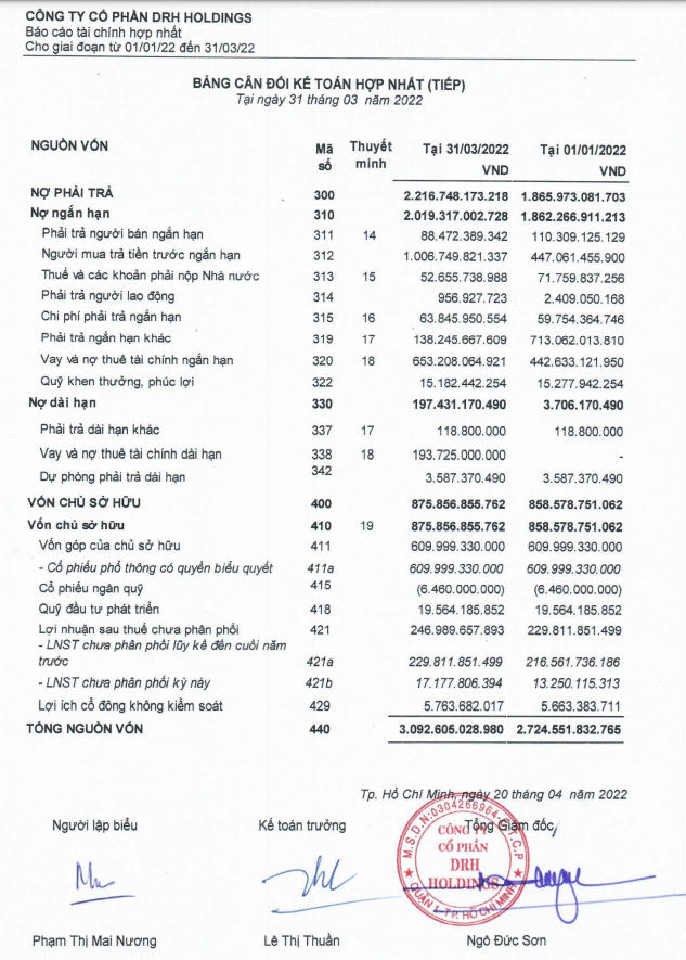 DRH Holdings vay nợ tài chính gần 847 tỷ đồng (Nguồn: BCTC DRH Holdings)