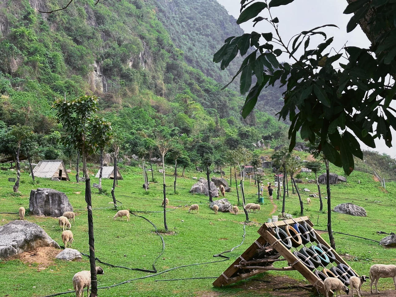 Làng quê Yên Đức &nbsp;