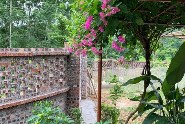 Dưới tác động của dịch bệnh, đất vườn được các nhà đầu tư ráo riết săn đón. &nbsp;