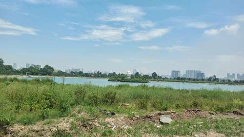 The Manor Central Park mangbatdongsan