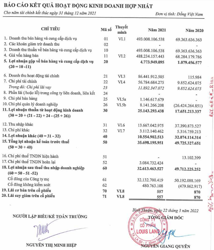 Báo cáo tài chính năm 2021 (Nguồn: BII)