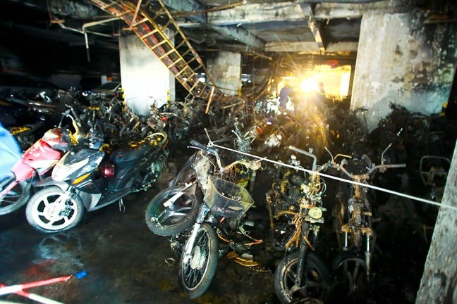 Dai co cho cho o va tien bao hiem sau tham hoa Carina