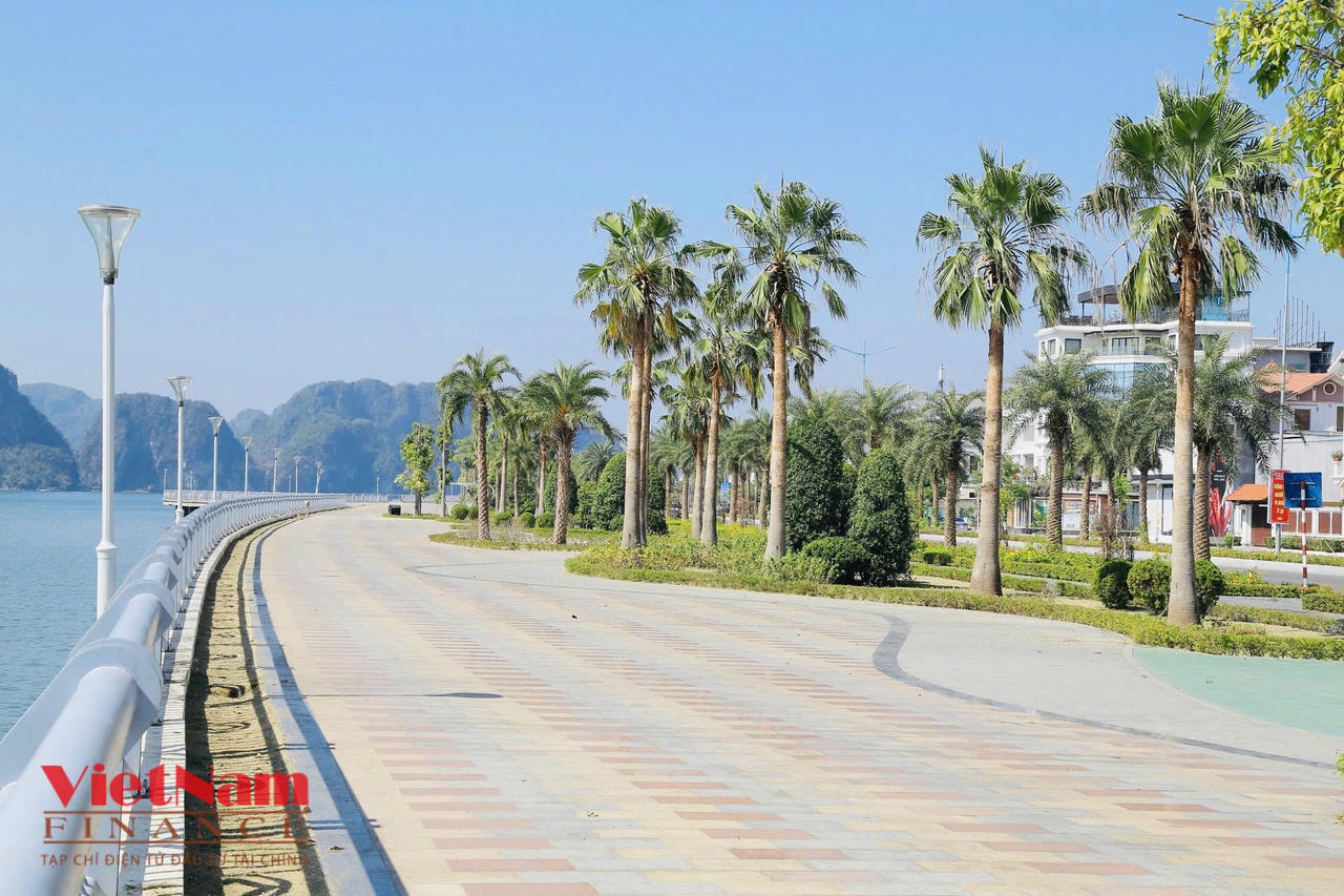 Khảo sát tuyến đường có giá bất động sản đắt nhất Quảng Ninh