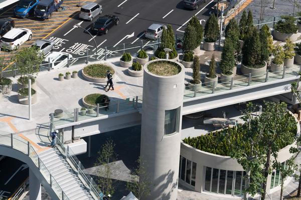 Chuyện thật như đùa khi đường trên cao hóa công viên toàn cây xanh