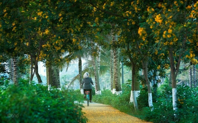 Những cung đường nên thơ tại KĐT có thiết kế cảnh quan đẹp nhất thế giới