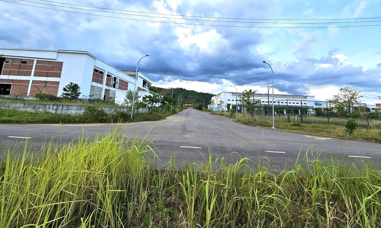 Các ngành nghề thu hút đầu tư vào Da Nang IT Park là công nghiệp phần cứng, phần mềm, nội dung số, nghiên cứu - phát triển và đào tạo...