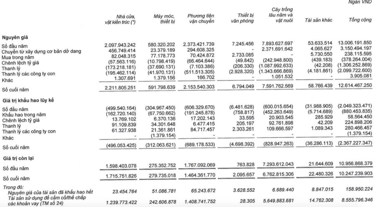 Sau nhiều quý thua lỗ, HAGL Agrico doanh thu gấp đôi cùng kỳ giữa bão covid-19