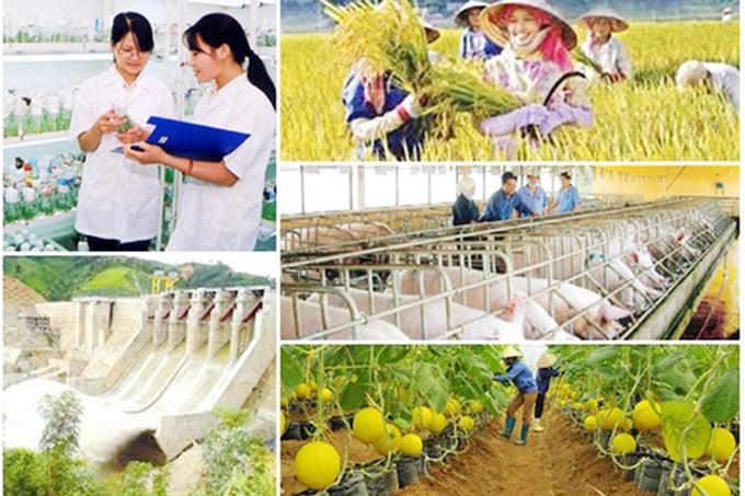 Hình minh họa&nbsp;