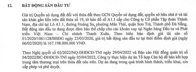 Nguồn: BCTC hợp nhất bán niên 2022 của TNI. &nbsp;