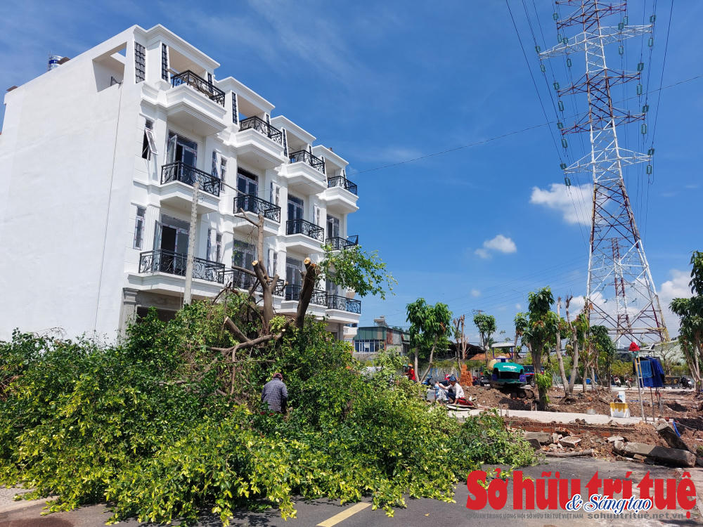 Các công trình được xây dựng dưới đường điện cao thế.&nbsp; &nbsp;