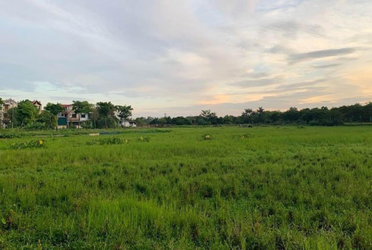 Giá đền bù đất nông nghiệp tăng, lo đầu cơ tạo sóng gom hàng?