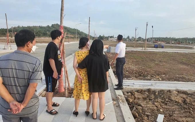 Động thái mới tại thị trường địa ốc TP.HCM và tỉnh lân cận