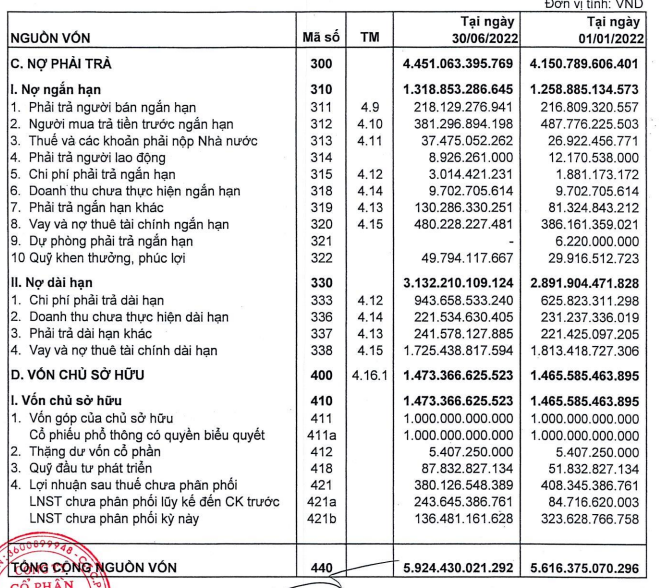 Nợ phải trả cao hơn vốn chủ sở hữu (Nguồn: BCTC xét soát SZC)
