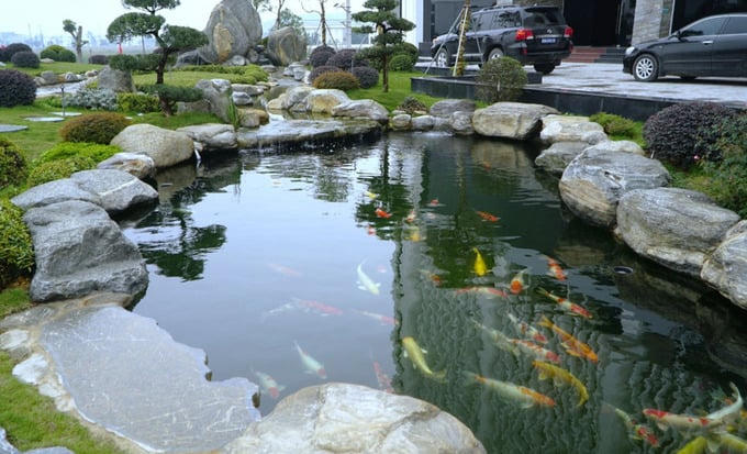 Trước sảnh lớn của tòa nhà có hệ thống tiểu cảnh sân vườn và hai bể cá Koi