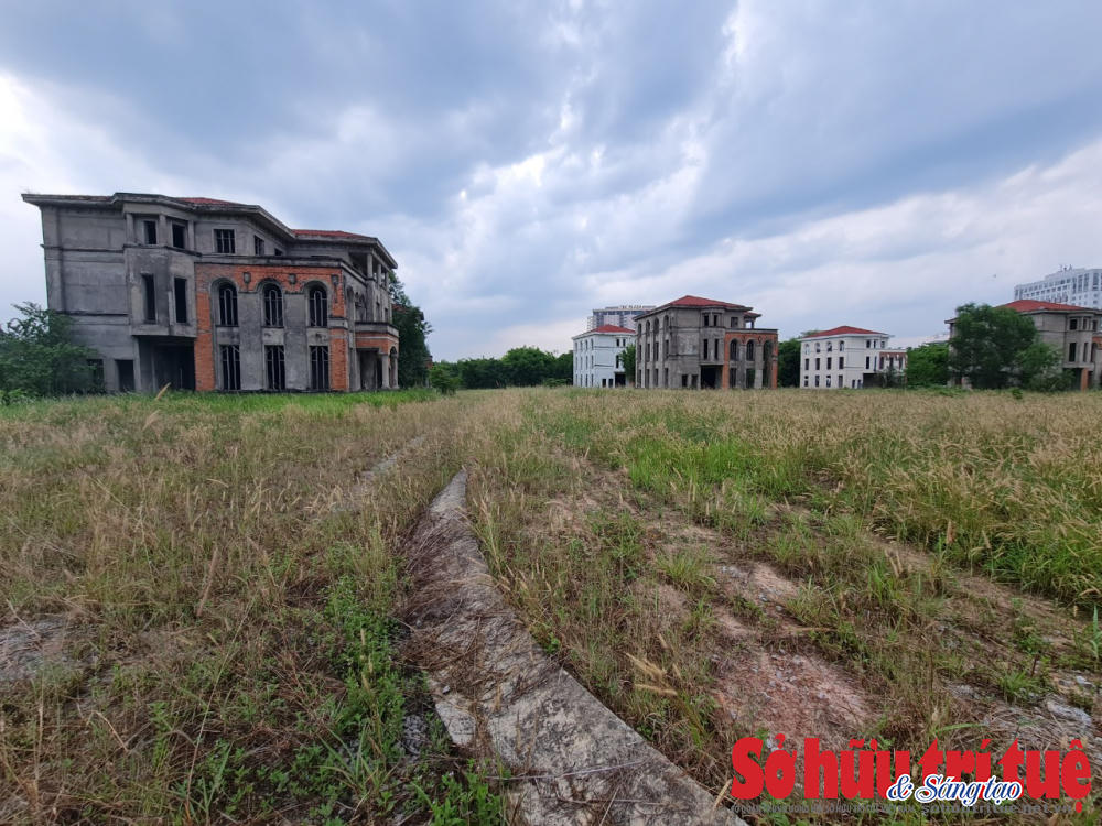 &nbsp;Tại đường Lê Lai (phường Hoà Phú, TP Thủ Dầu Một), Khu biệt thự Dragon Hill có gần chục căn biệt thự 3 tầng đã xây dựng xong phần thô nhưng để bỏ trống dẫn đến rêu bám đầy tường, cỏ mọc um tùm như nhà hoang.&nbsp;