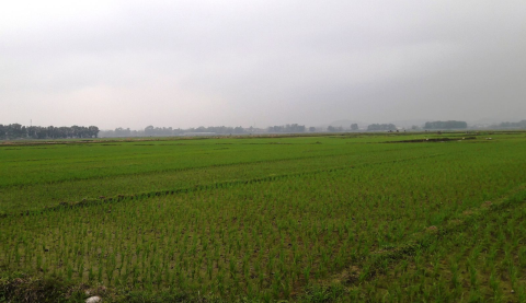 Nhung du an tai tieng cua dai gia Han Quoc Charmvit