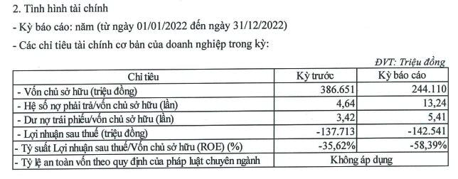 Công ty Biển Đông: Lỗ 4 năm liên tiếp, vốn chủ sở hữu “bốc hơi” hơn 50%