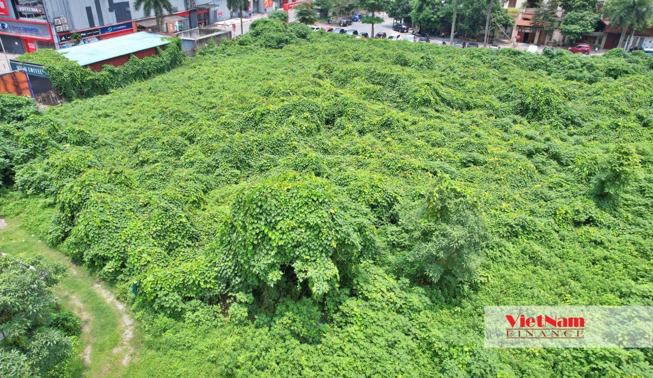 BVH: Doanh thu gần 1,1 tỷ USD, tháp tài chính 20 năm vẫn 'bất động'
