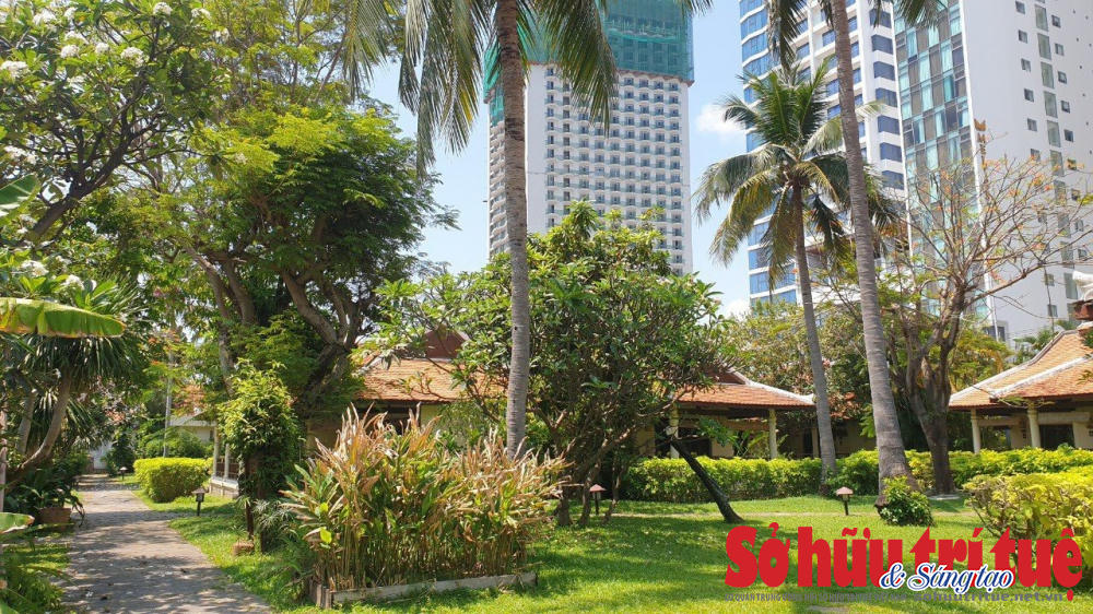 &nbsp;UBND tỉnh Khánh Hòa triển khai thực hiện quản lý, sử dụng có hiệu quả đối với tài sản đất đai, nhà ở công của Nhà nước. &nbsp;