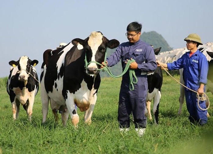 Sữa Mộc Châu dự kiến niêm yết, bán hơn 39 triệu cổ phiếu cho Vinamilk và GTN Foods