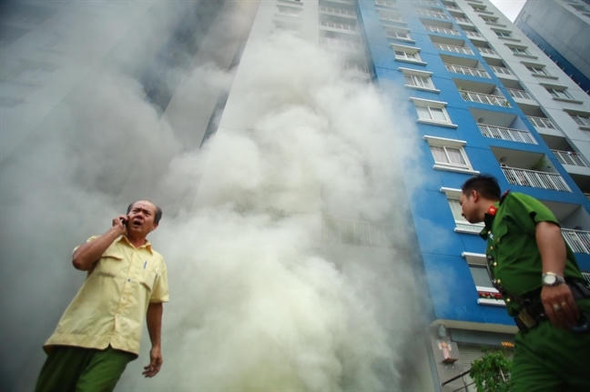 Dai co cho cho o va tien bao hiem sau tham hoa Carina