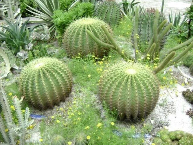 9 sai lam phong thuy duoi Than Tai xoi xoi, ca doi khong xu dinh tui-Hinh-8