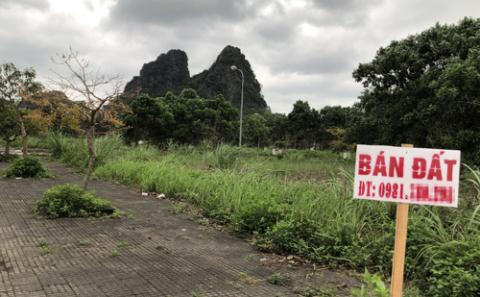 Thu hồi đất nông nghiệp người ngoại tỉnh đầu cơ, bỏ hoang