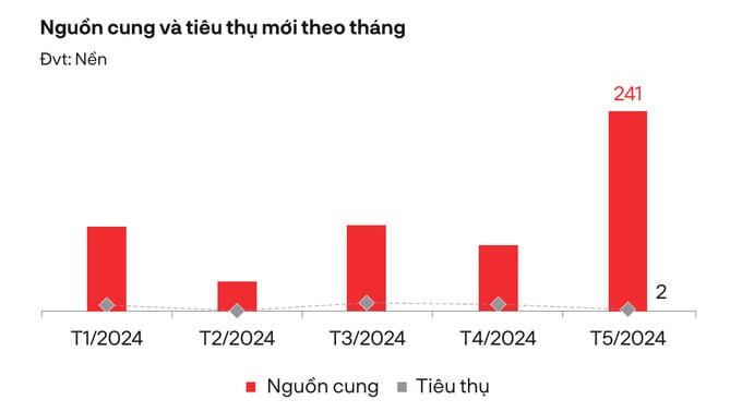 Nguồn cung và tiêu thụ mới đất nền tháng 5/2024 (Nguồn: DKRA Group)