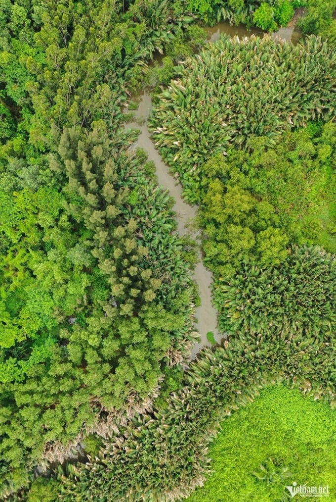 Nơi đây sẽ vẫn giữ nguyên chức năng bảo vệ môi trường. Ảnh: Vietnamnet