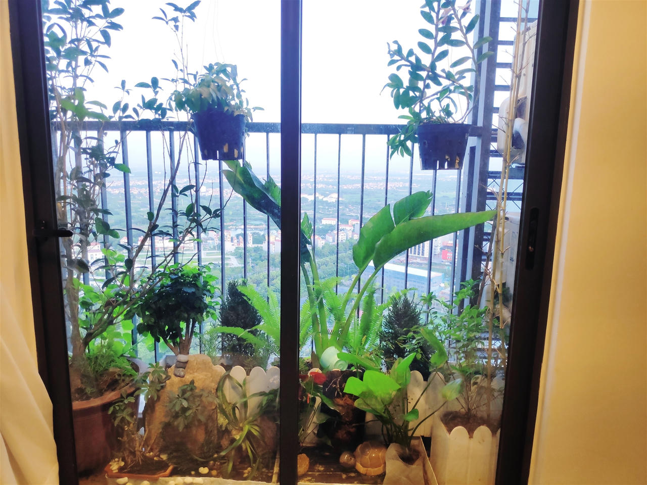 Cần lưu ý điều gì khi nuôi dưỡng cây xanh trong nhà?