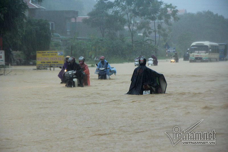 Trăm xe lặn ngụp giữa biển nước lũ Hòa Bình