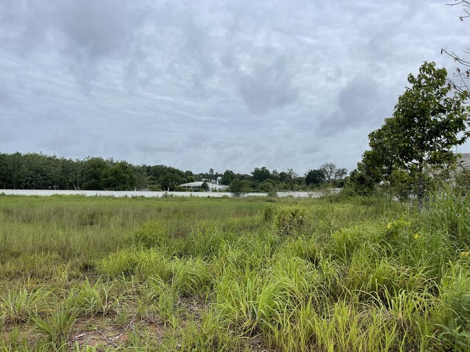 Nhiều khu vực đất bên trong dự án cũng chỉ dùng để "trồng cỏ"