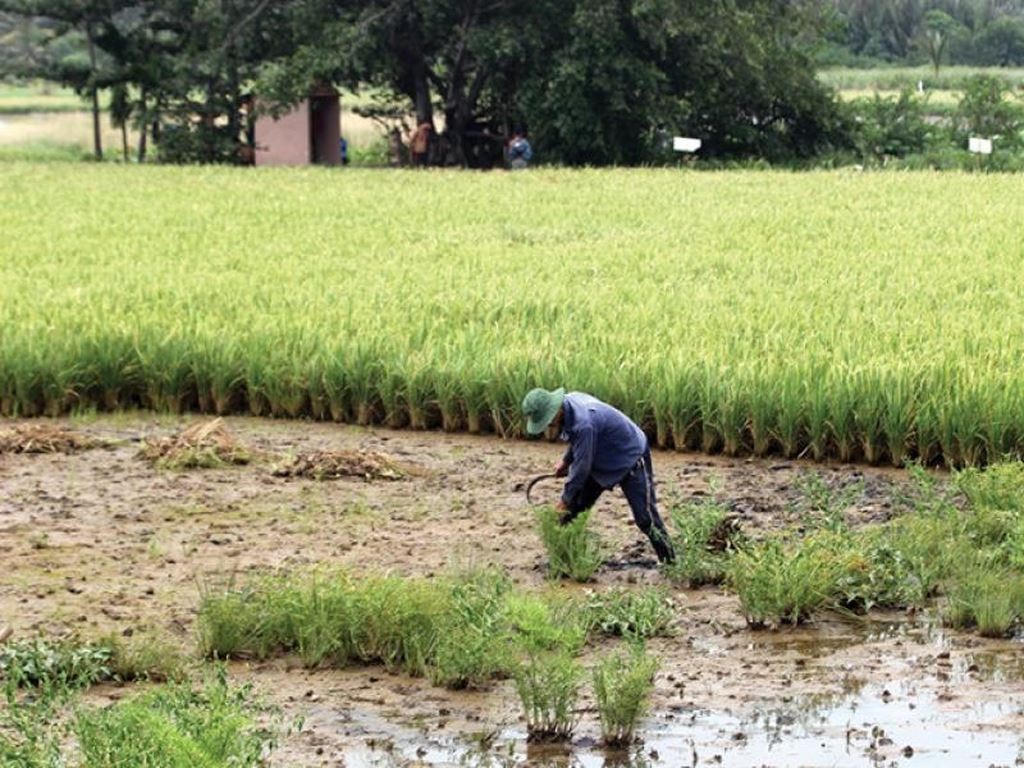 Dự án Bình Quới – Thanh Đa có nguy cơ trở về vạch xuất phát