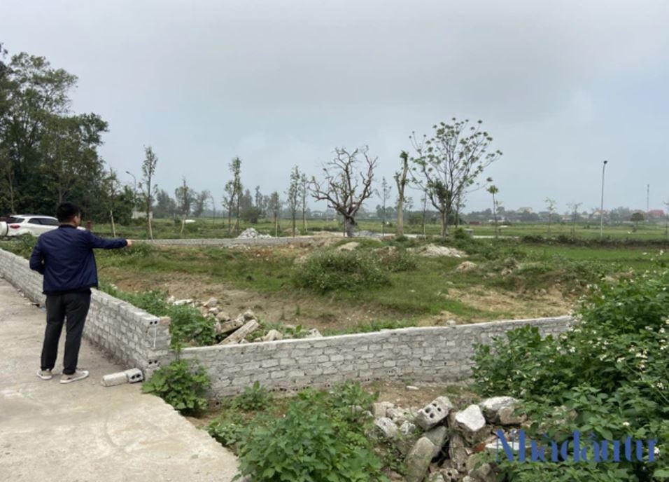Một thửa đất ở xã Nghi Thái (huyện Nghi Lộc) đang được nhà đầu tư làm mặt bằng nhưng giới cò đất đã tập trung đến giao dịch và làm giá &nbsp;